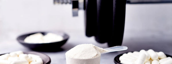 Athlete calculating BCAA dosage with a supplement powder to support muscle growth goals.