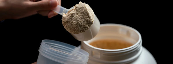 Whey protein isolate with antibiotics: A guide to safe consumption.