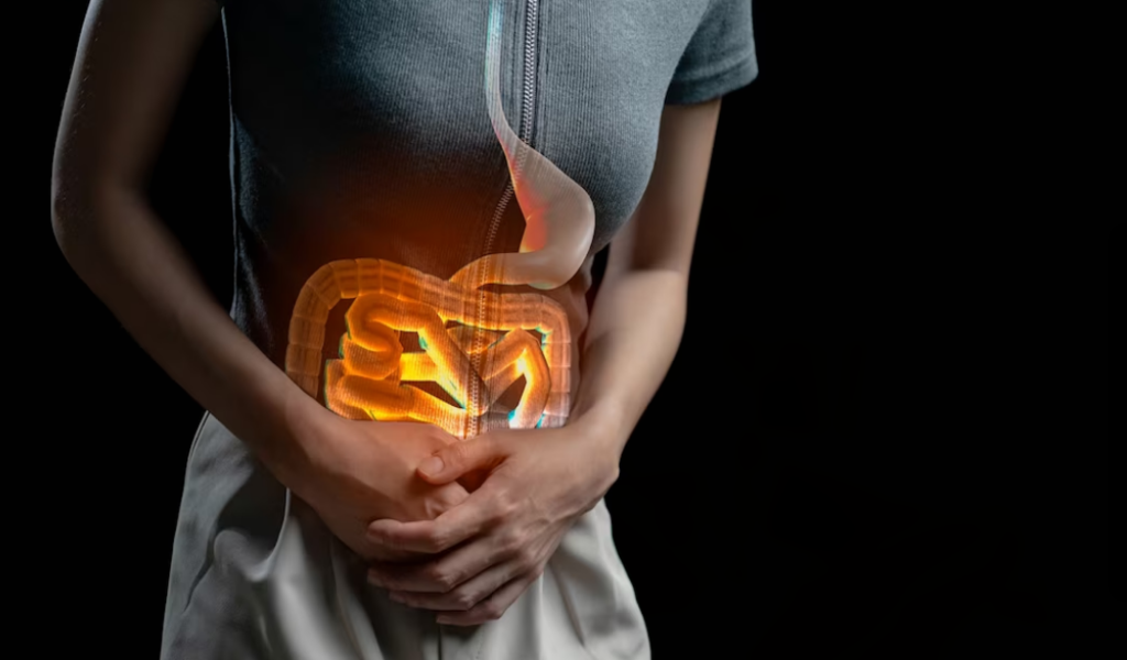 An All-in-One Guide to Gut Health: What's Good, What's Bad, and the Benefits of Gut Health Supplements 