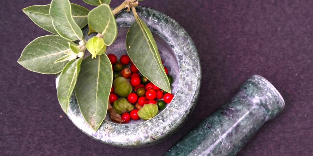 Ashwagandha for Male Fertility and Sperm Count