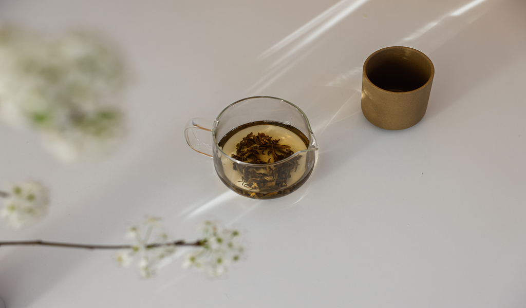 Building Your Immune System For Monsoon Season