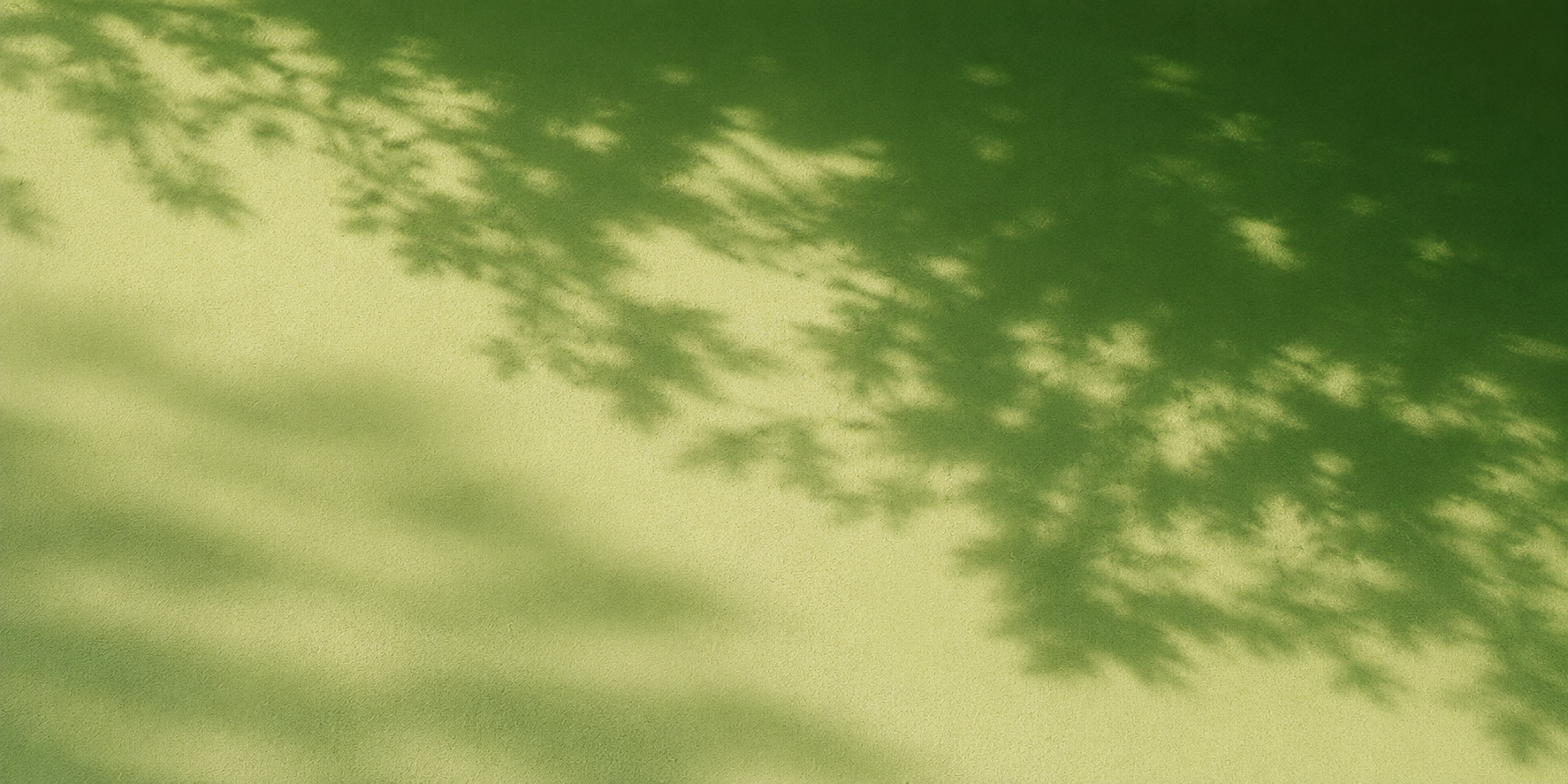 how long before collagen supplements work