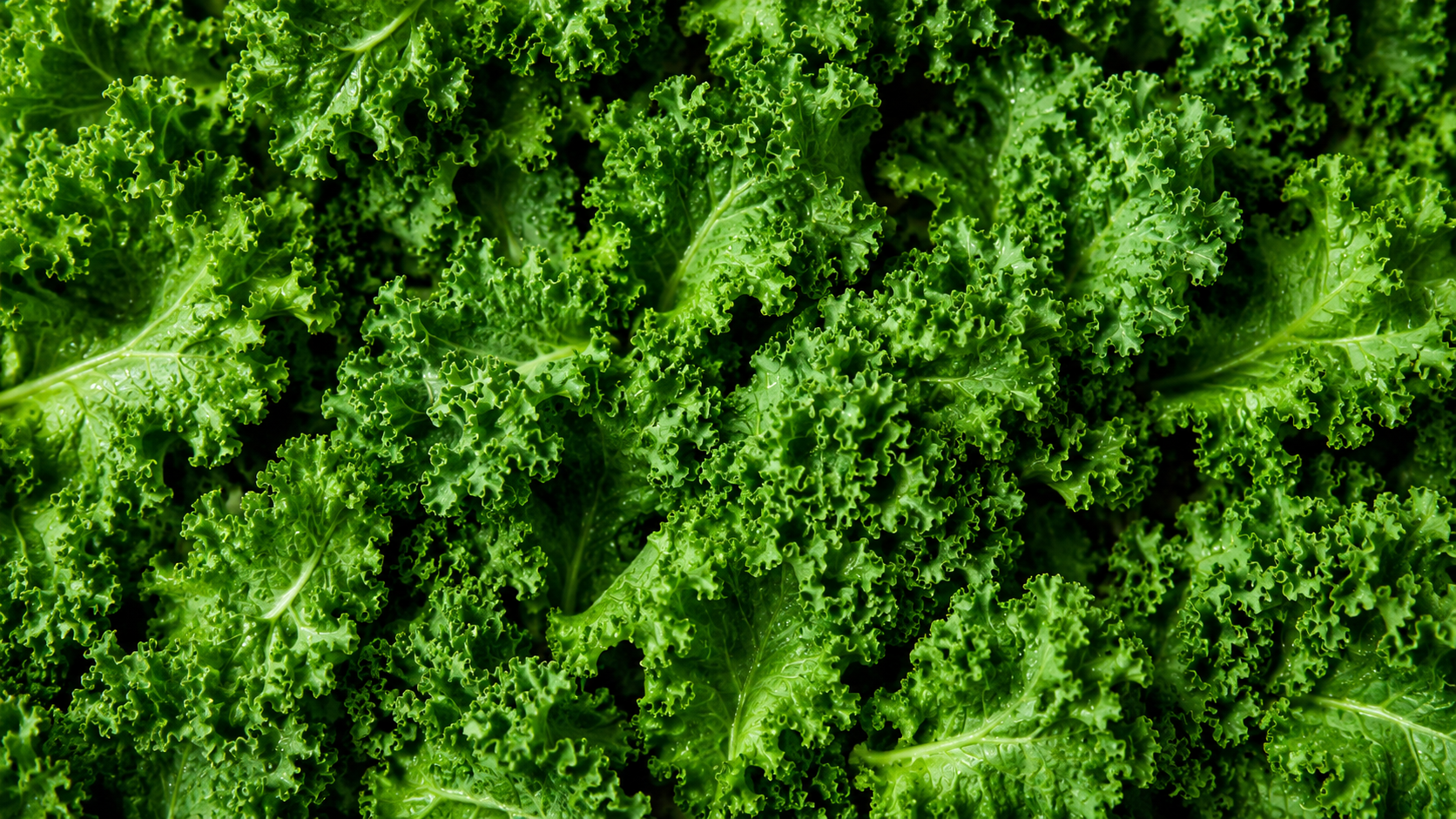 Why Your Body Needs Vitamin K
