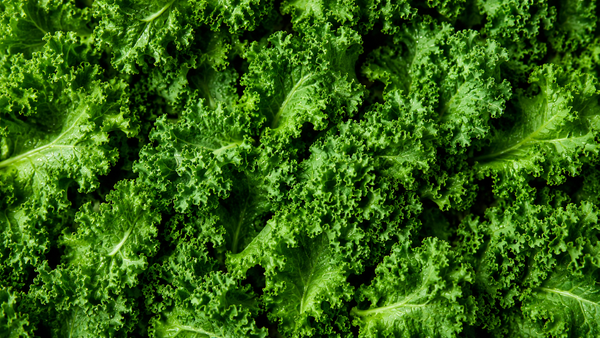 Why Your Body Needs Vitamin K