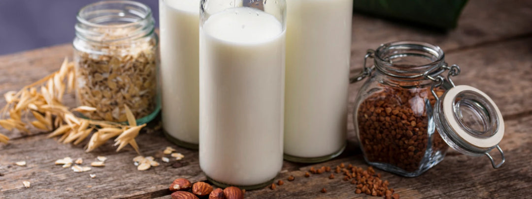 A scoop of lactose free protein powder next to a shaker bottle and workout equipment. 
