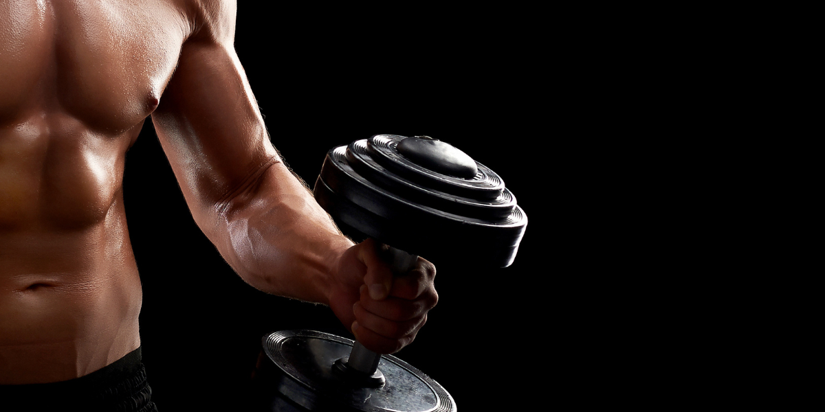 Creatine vs Whey Protein