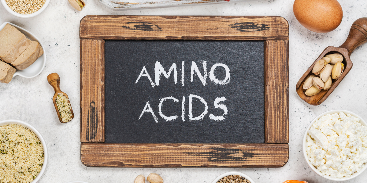 Essential Amino Acids – Definition, Benefits, and Foods