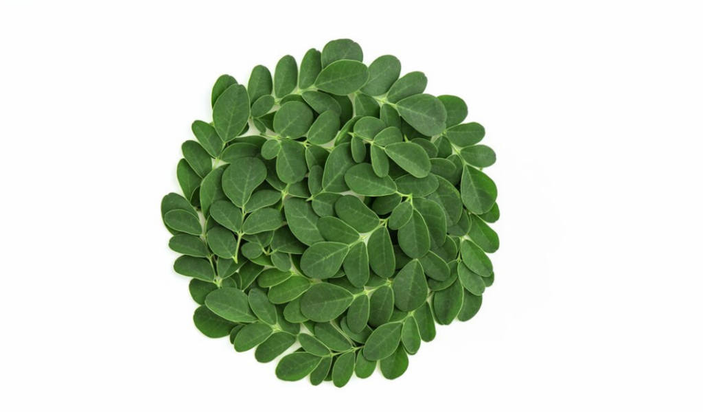 Moringa: The Miracle Ingredient with Multiple Health Benefits