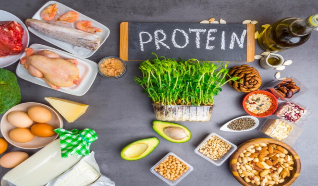 Plant Protein vs Animal Protein: Environmental Impact