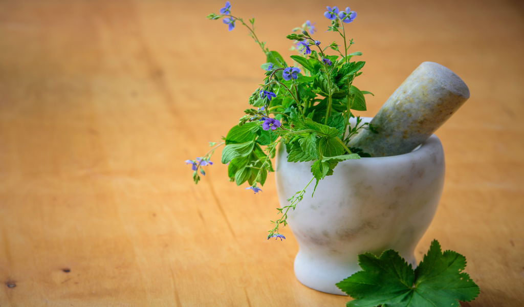 Shilajit for male - the power of shilajit ingredient