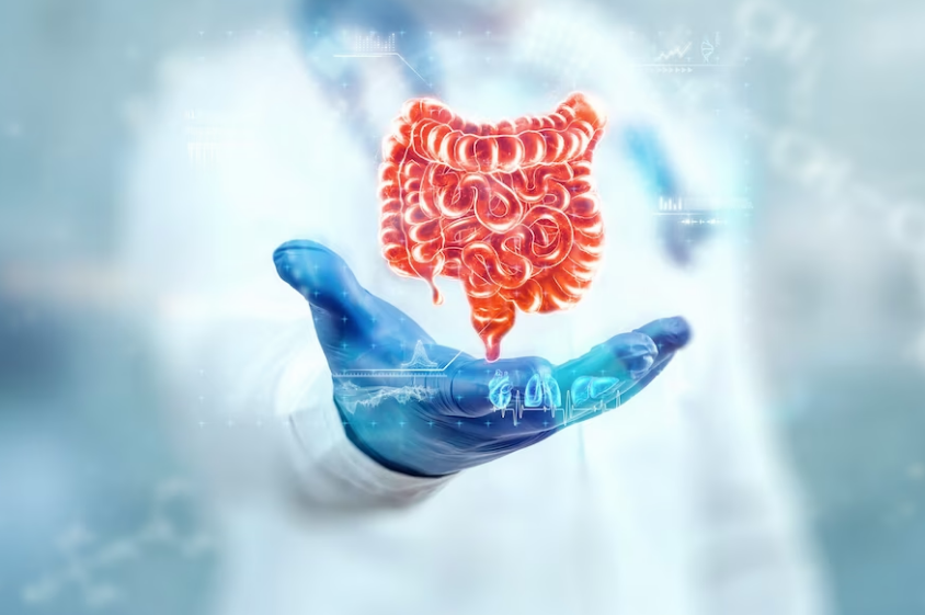 Relation Between Gut Health and Autoimmune Conditions