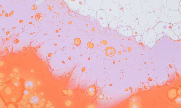 gut detox