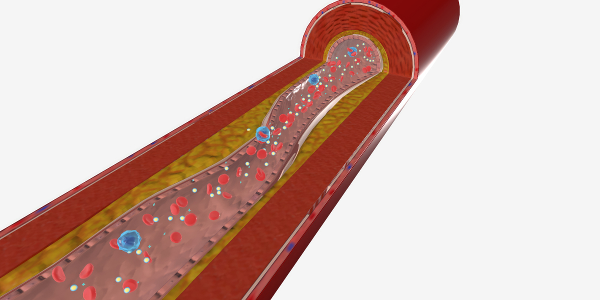 What is Cholesterol and Why Is It Important for Your Health?