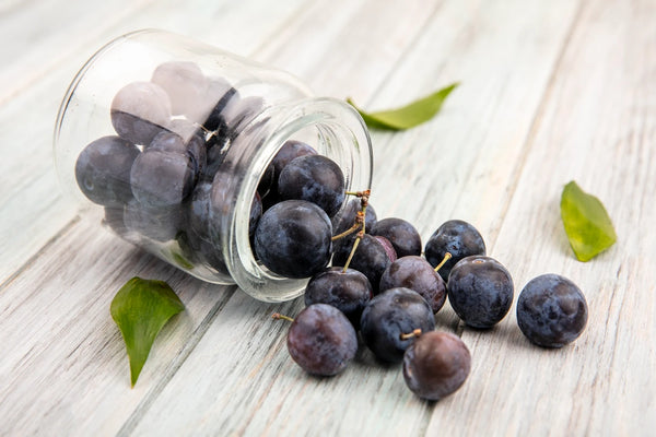 How Bilberry Extract Fights Aging for Healthier Skin 