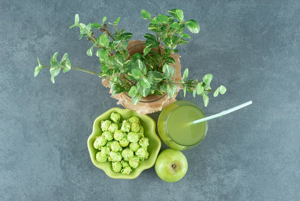 How to Boost Gut Health with Plant-Based Prebiotic Fiber 