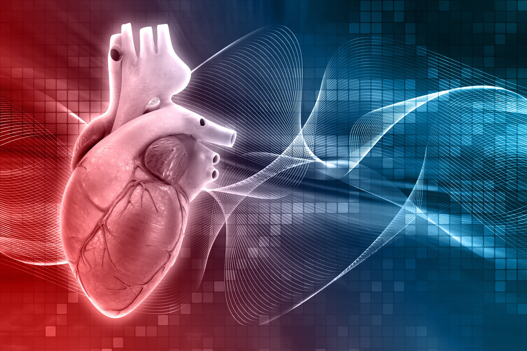 Plant Sterols for cholesterol