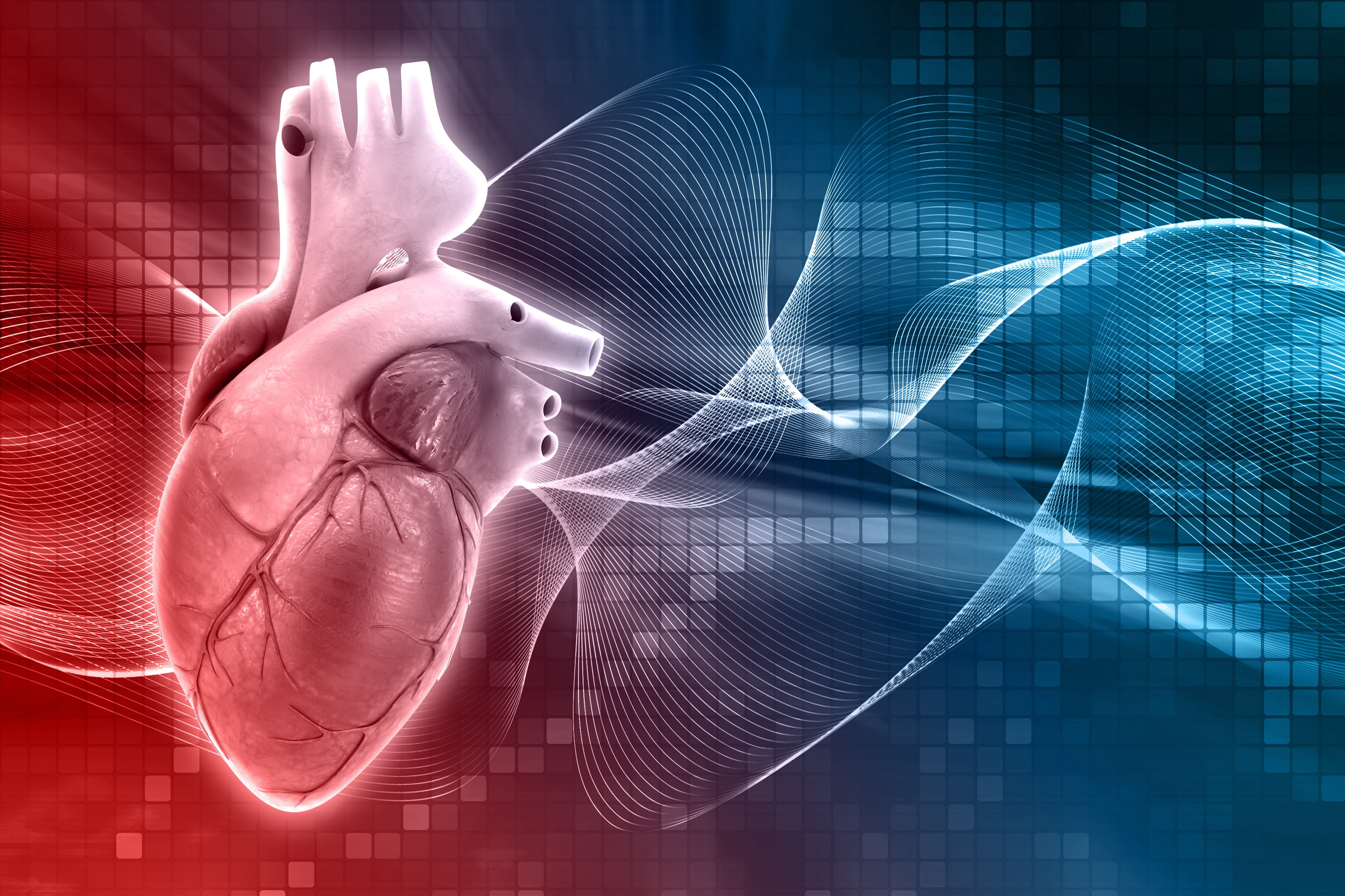 Plant Sterols for cholesterol