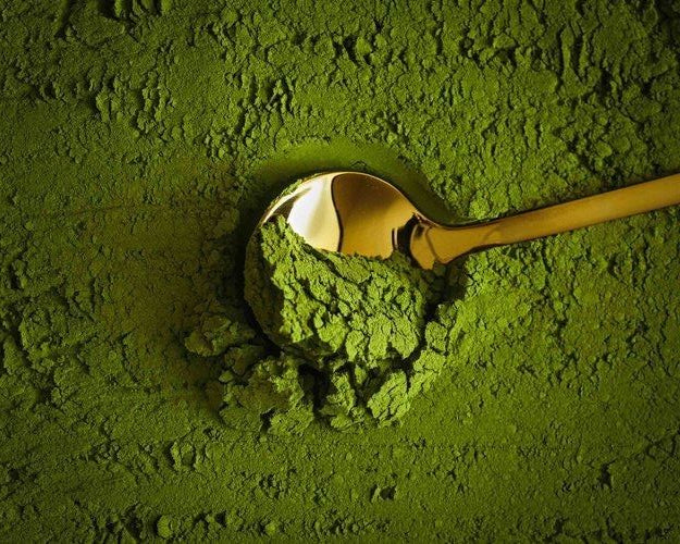 Matcha vs Green Tea