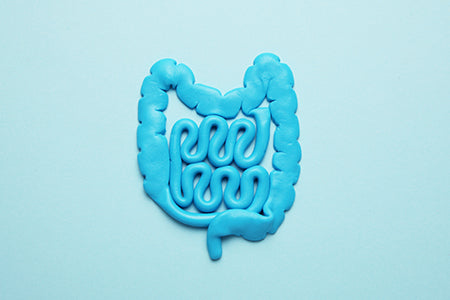 probiotic process