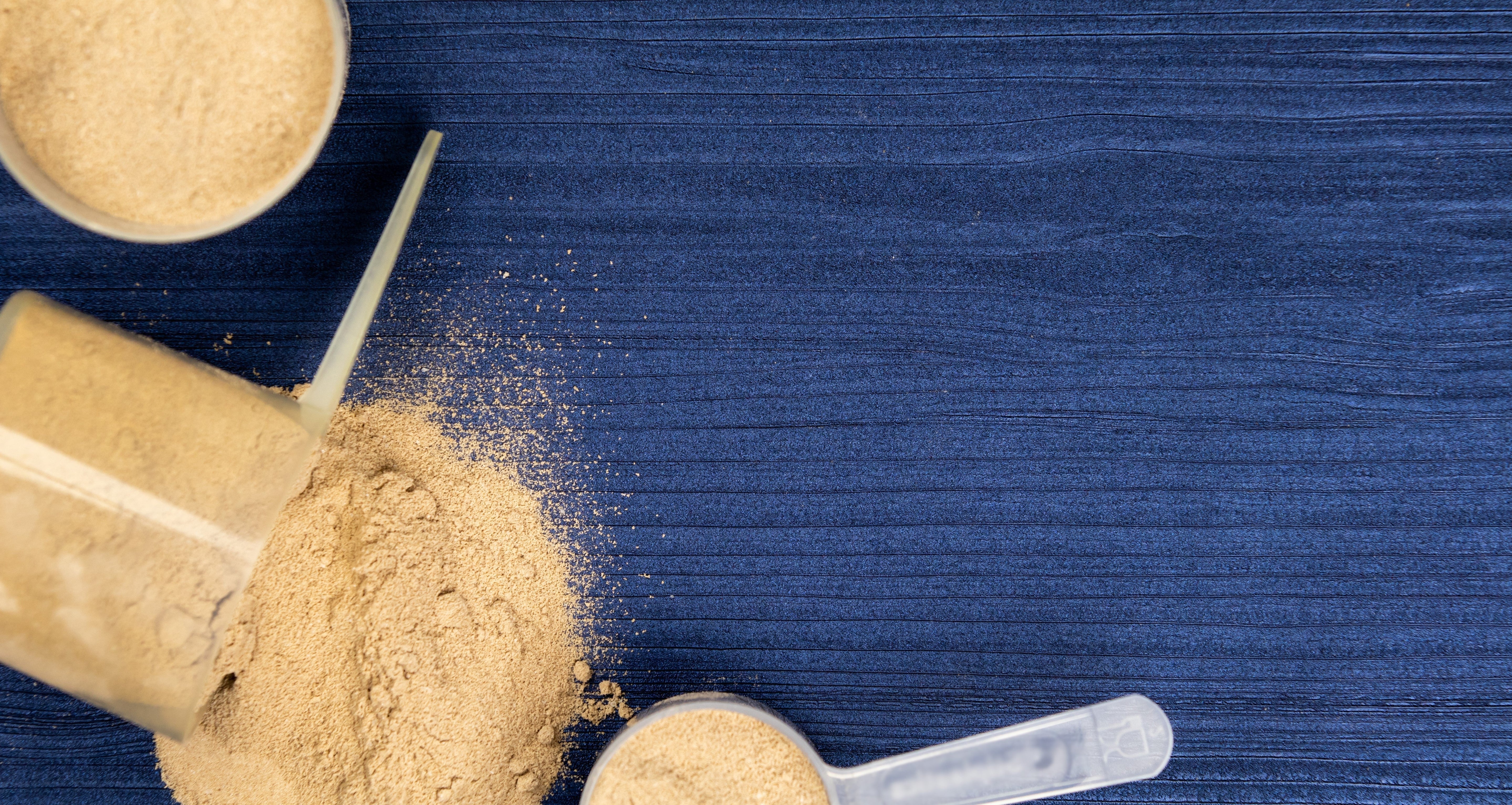 Plant Protein vs Whey Protein: Which One Is Better?