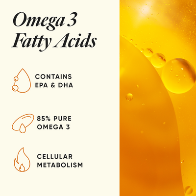 files/01_INGREDIENTS_OMEGA_6X_b0b08ccb-5588-4d28-992d-a5558d93c067.png