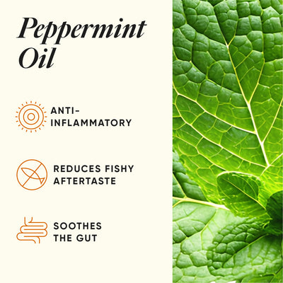 files/03_INGREDIENTS_OMEGA_3X_0d971b9f-674e-4fa5-9344-49ccb6b6c2cb.jpg