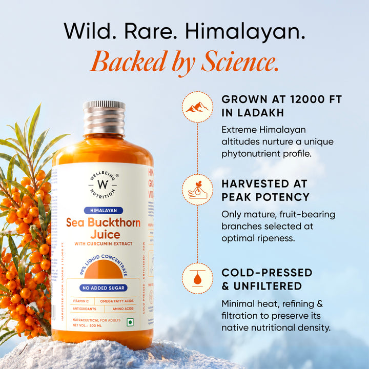 himalayan sea buckthorn