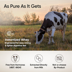 pure instantized whey