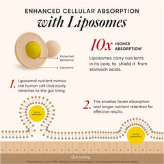 Liposomal Berberine HCL+