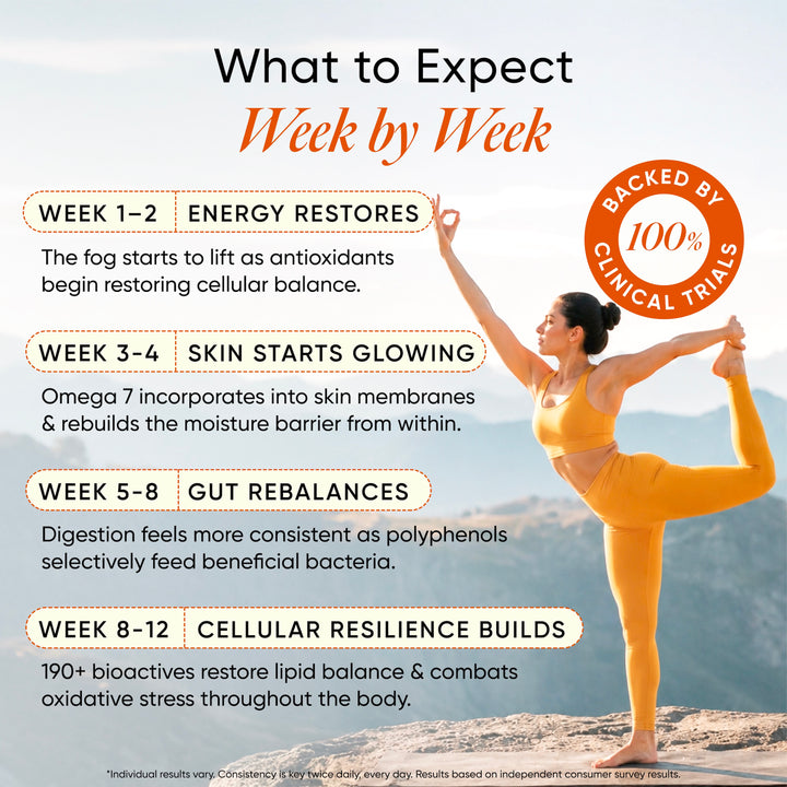 how sea buckthorn helps