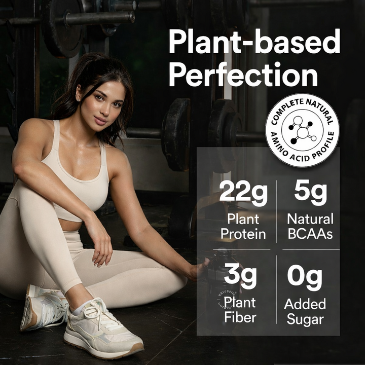 Vegan Protein 22g | 500g | 3B CFU Probiotics | Belgian Dark Chocolate
