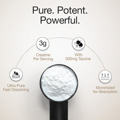 micronized for absorption