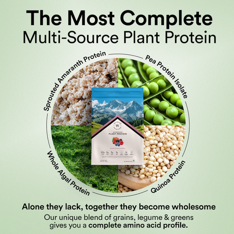 multi-sourced vegan protein