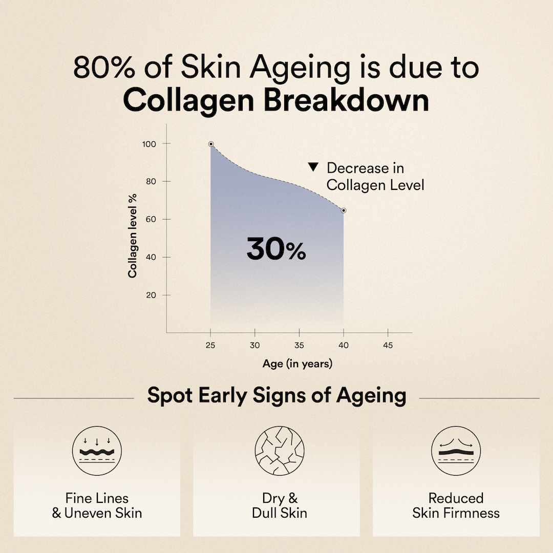 collagen breakdown