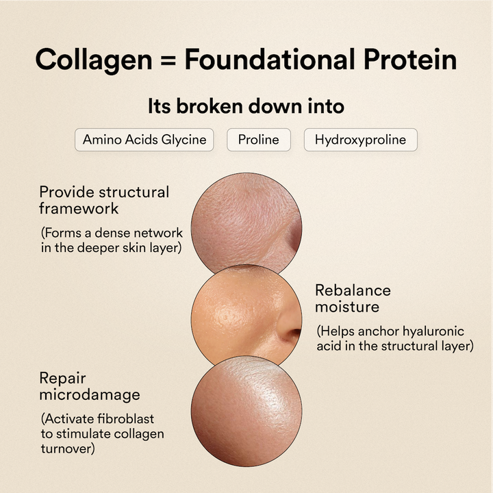 Korean Marine Collagen - Blueberry Mint