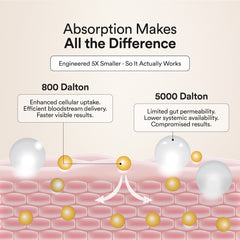 glow collagen with 800 dalton