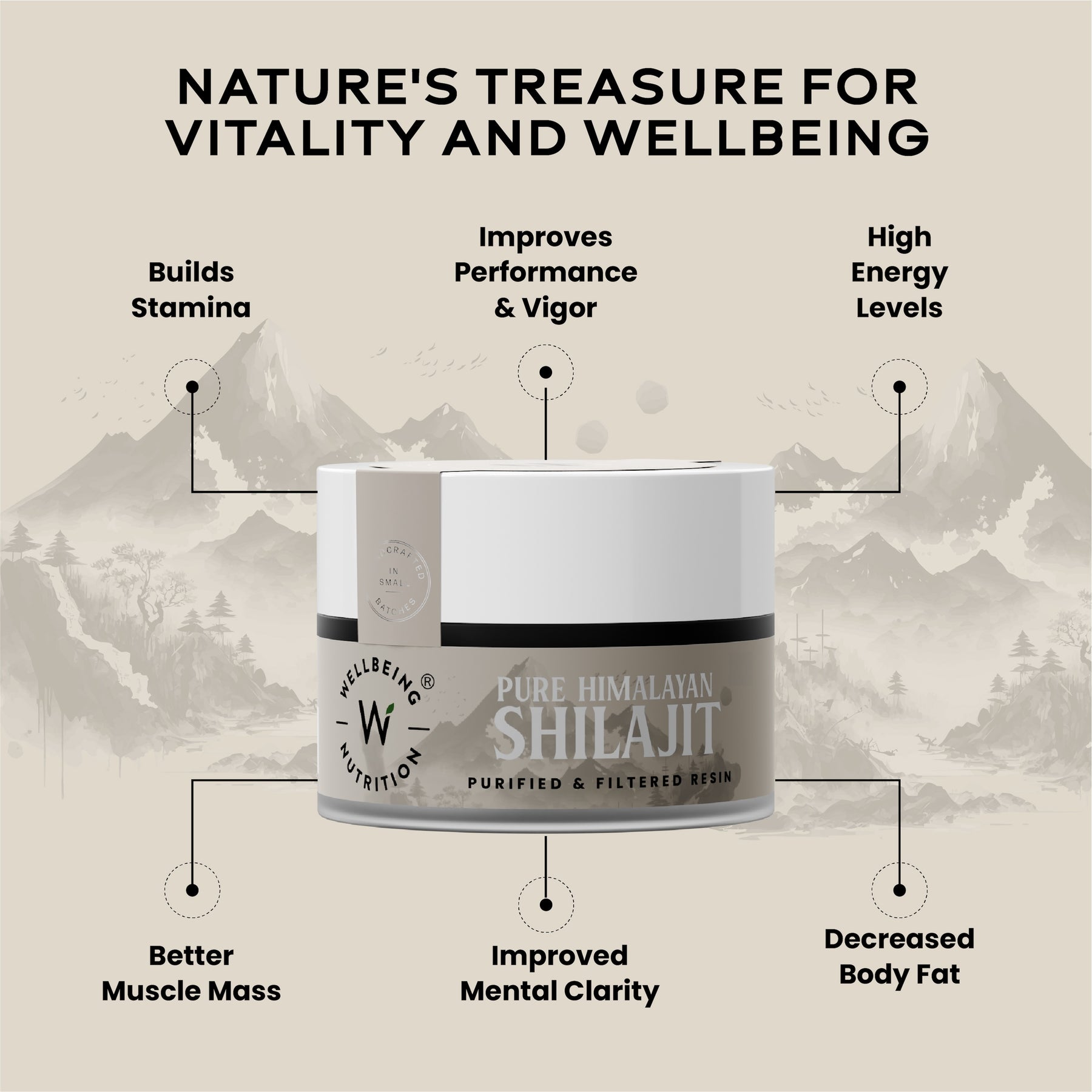 Shilajit Resin 10gm