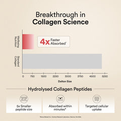 Breakthrough in Collagen Science