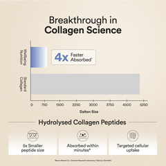 collagen science