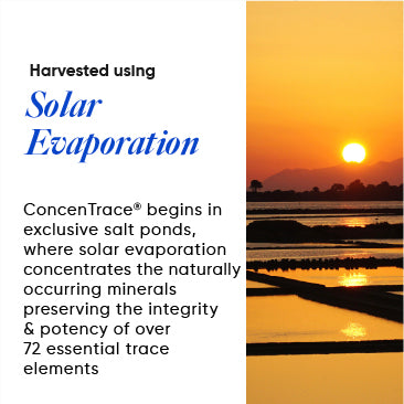 Ingredient_2_161200fa-67a5-47a2-a02e-1c222cbd77dc