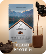 Plant Protein
