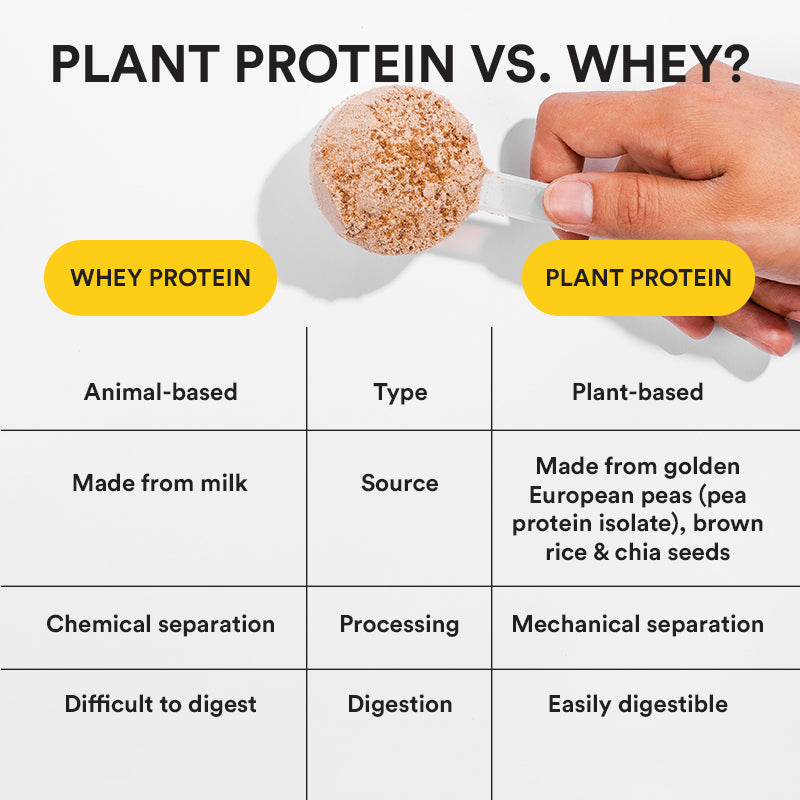Superfood Plant Protein | Italian Cafe Mocha Offer