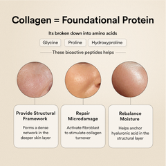 Collagen = Foundational Protein