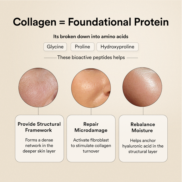 Beauty Korean Marine Collagen Peptides Mango Peach Flavour