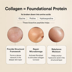collagen = foundational protein