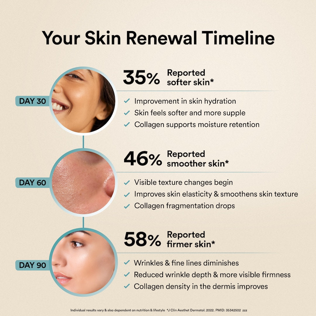 collagen timeline
